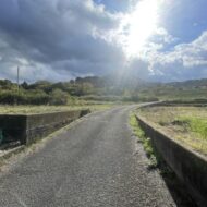 西野町　農地・資材置き場 画像2